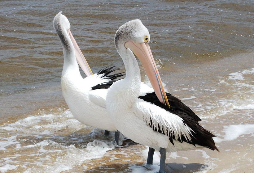 Balneaire Seaside Resort