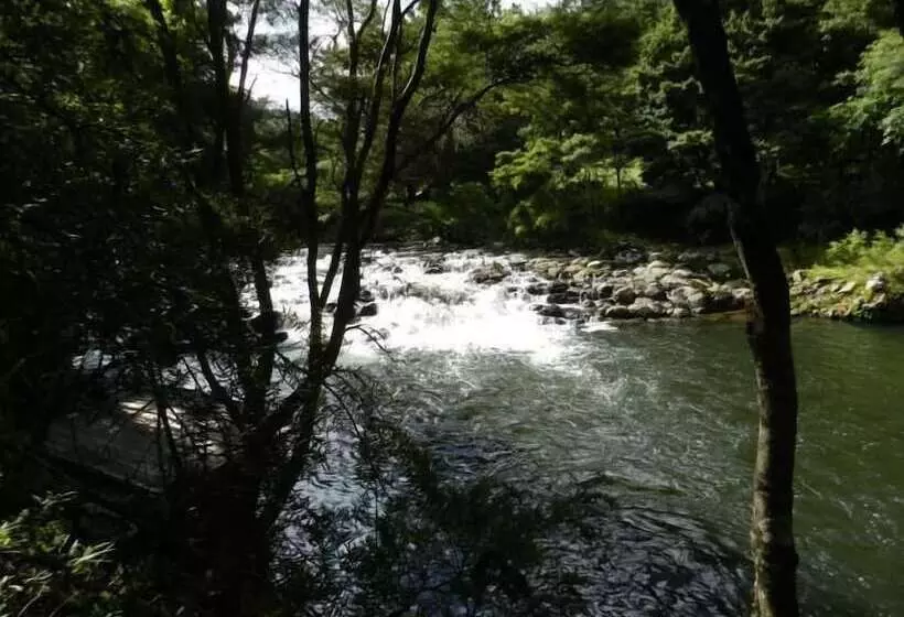 צימר Puketotara Lodge