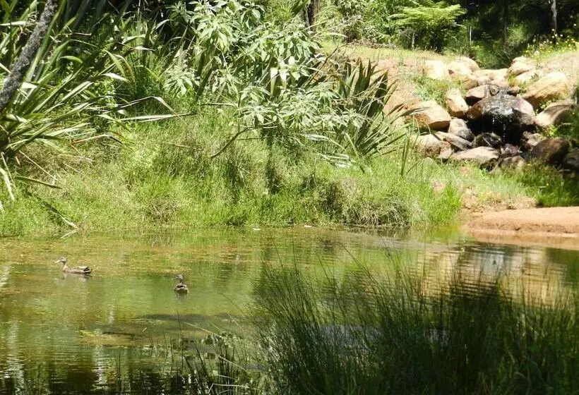 צימר Puketotara Lodge