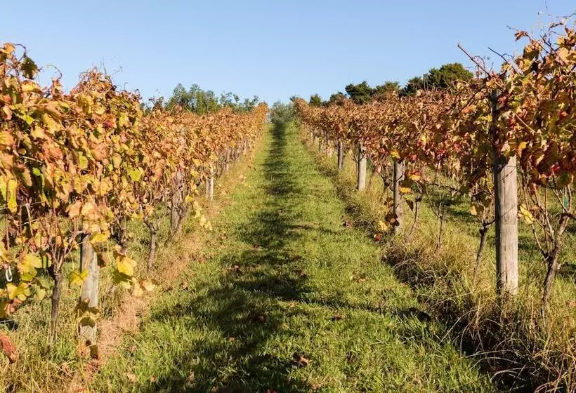 צימר Puketotara Lodge