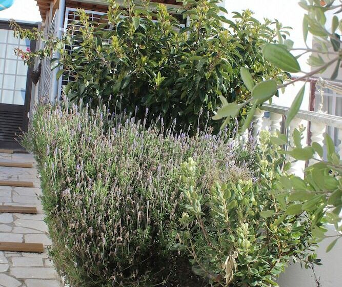 Ericeira Chill Hill Hostel & Private Rooms   Peach Garden