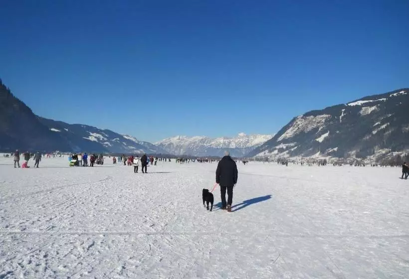 Gadenstätter Apartments In Der City