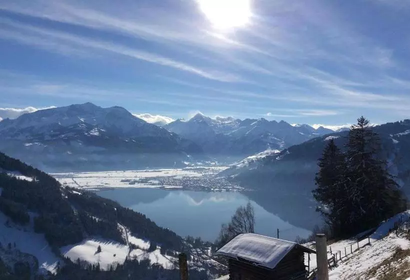 Gadenstätter Apartments In Der City
