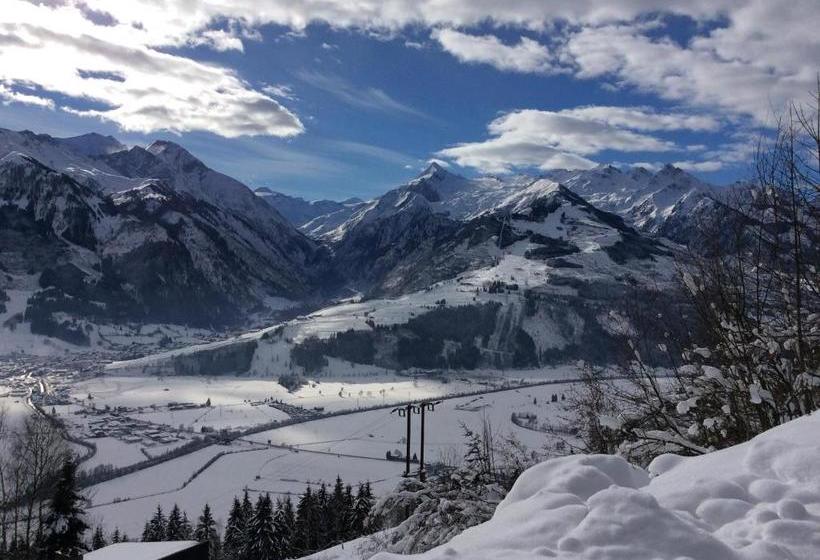 Gadenstätter Apartments In Der City