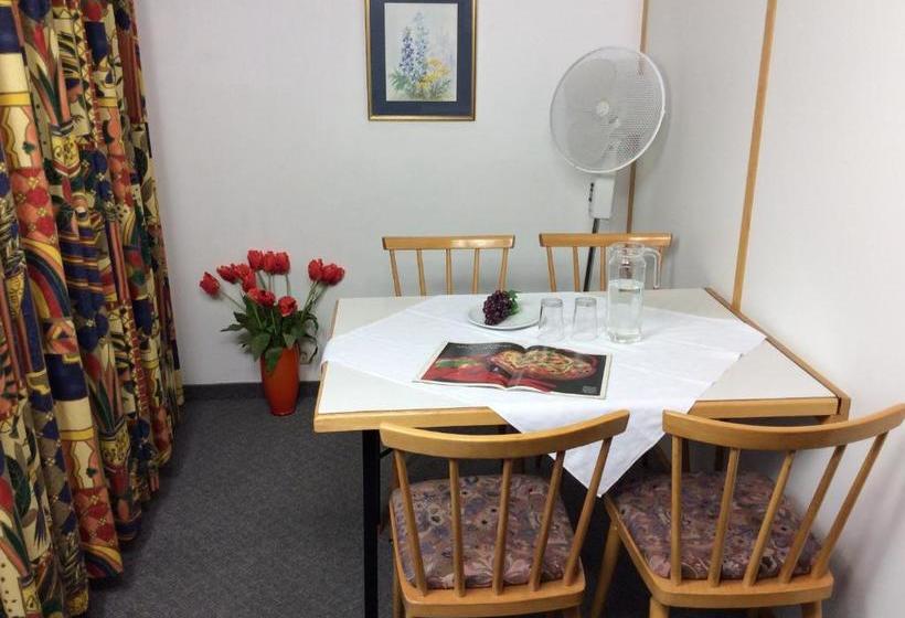 Gadenstätter Apartments In Der City