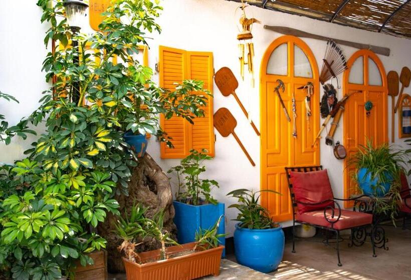 فندق Akkan Beach