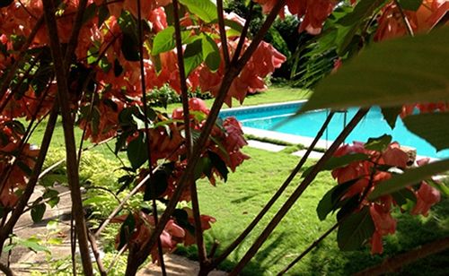 هتل Boutique Villa Maya