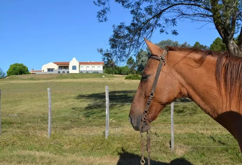 فندق St Michel Wellness