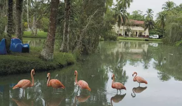 Hotelli Villa San Jose Del Lago