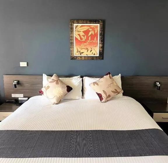 فندق على الطريق Bathurst Motor Inn