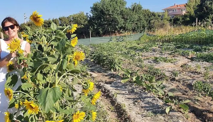 The D Hotel Cesme Spa & Resort