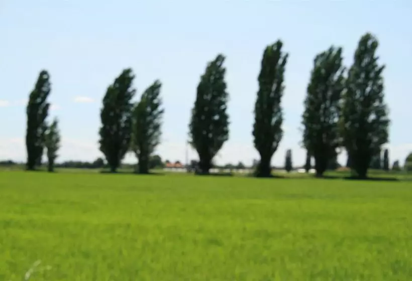 Apartamentos La Zambonina