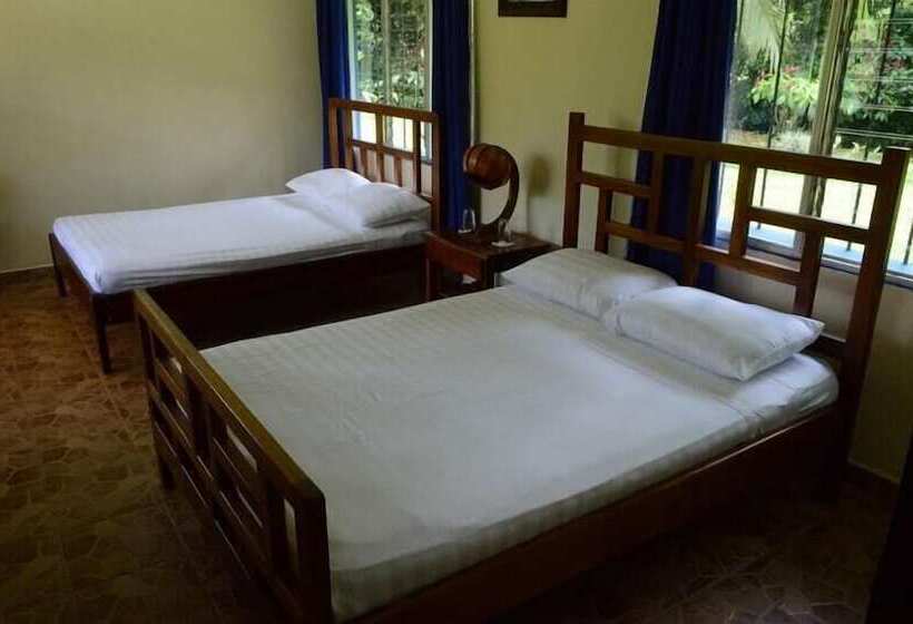 住宿加早餐 Erupciones Inn