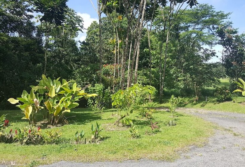 住宿加早餐 Erupciones Inn