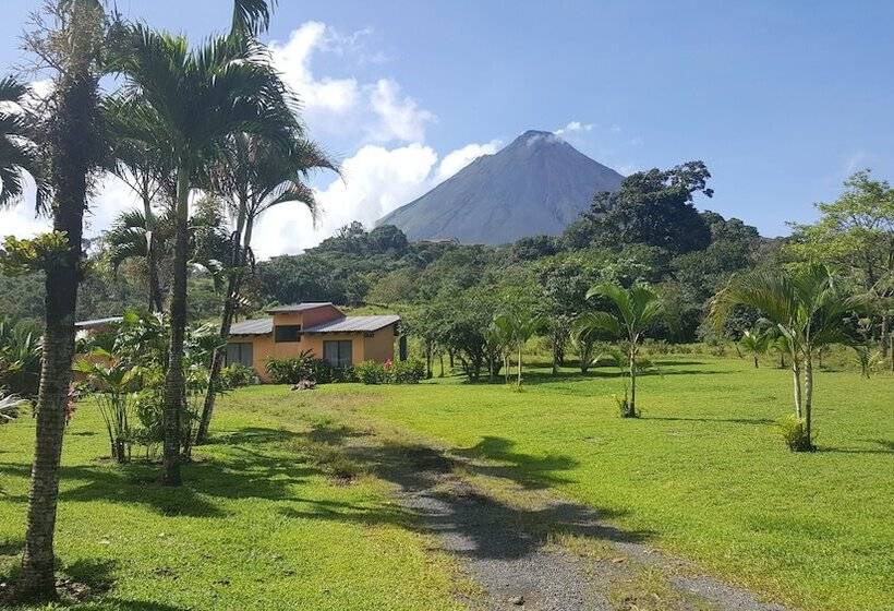 住宿加早餐 Erupciones Inn