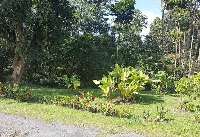 住宿加早餐 Erupciones Inn