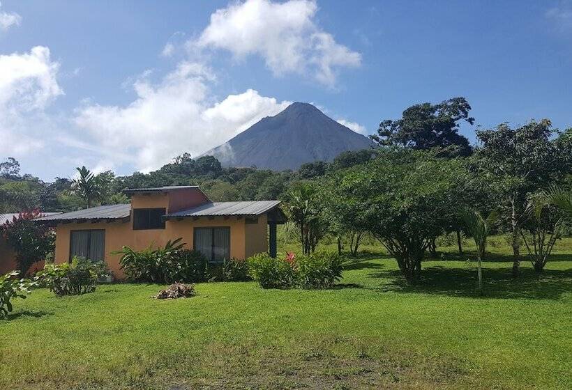 住宿加早餐 Erupciones Inn