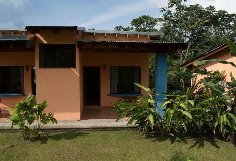 住宿加早餐 Erupciones Inn