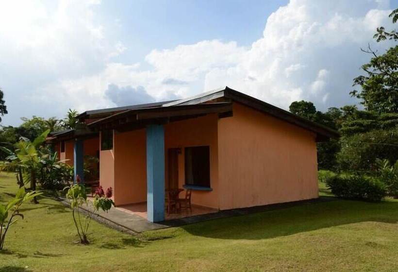 住宿加早餐 Erupciones Inn