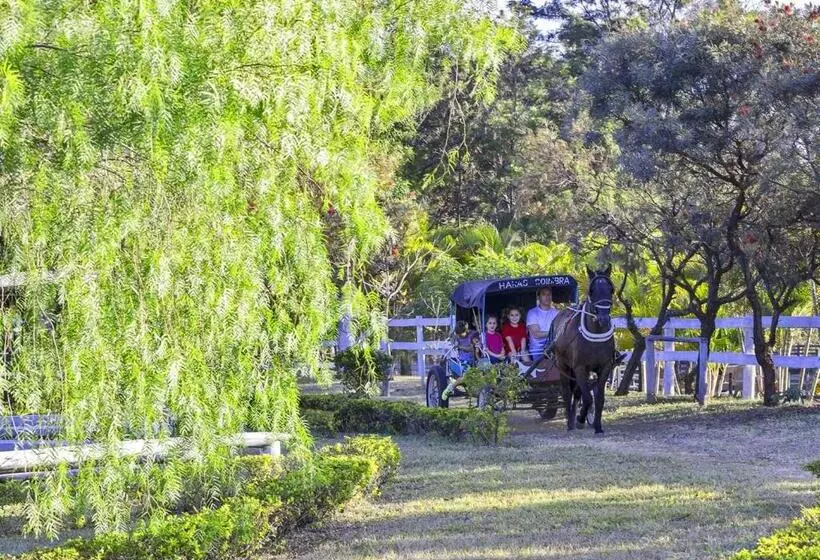 Brotas Eco Hotel Fazenda