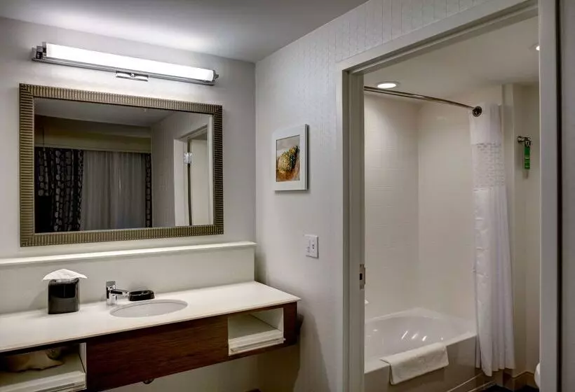 ホテル Hampton Inn & Suites Vero Beach Downtown