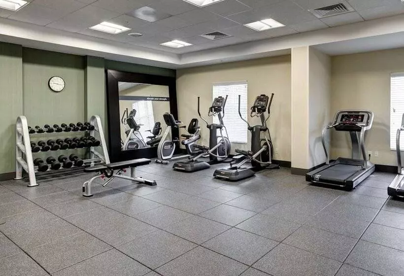 ホテル Hampton Inn & Suites Vero Beach Downtown