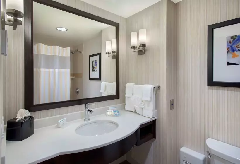 هتل Hilton Garden Inn Chicago Downtown Riverwalk