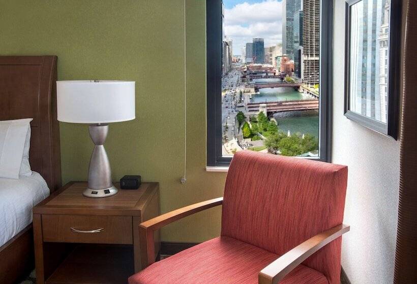 فندق Hilton Garden Inn Chicago Downtown Riverwalk