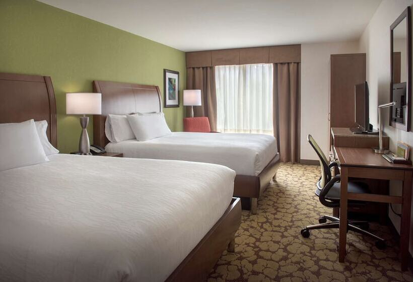 فندق Hilton Garden Inn Chicago Downtown Riverwalk