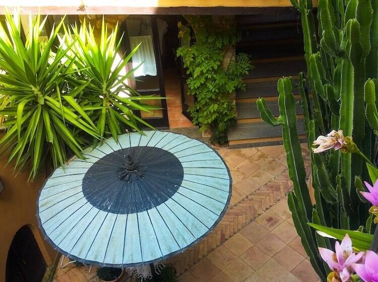 בית מלון כפרי Marulivo