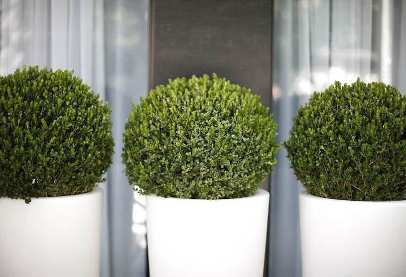 Nova City Garni Hotel Signature Collection