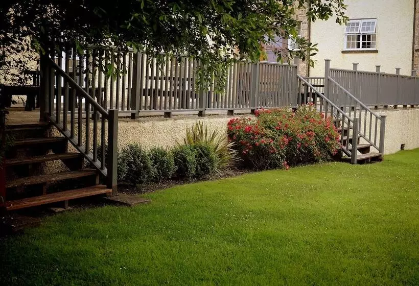 酒店 Racket Hall Country House