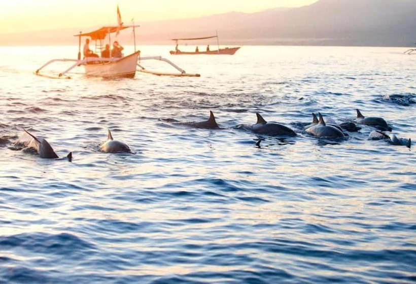 Singaraja Hotel Chse Certified