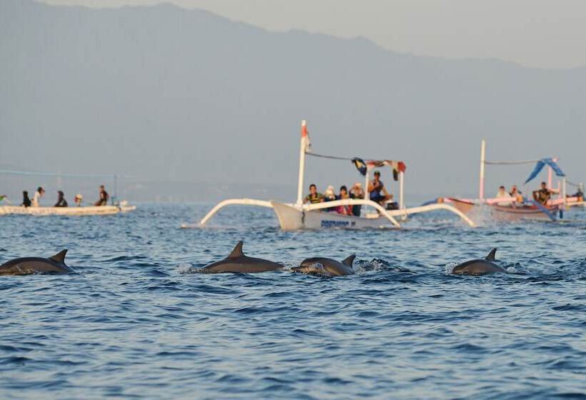 Singaraja Hotel Chse Certified