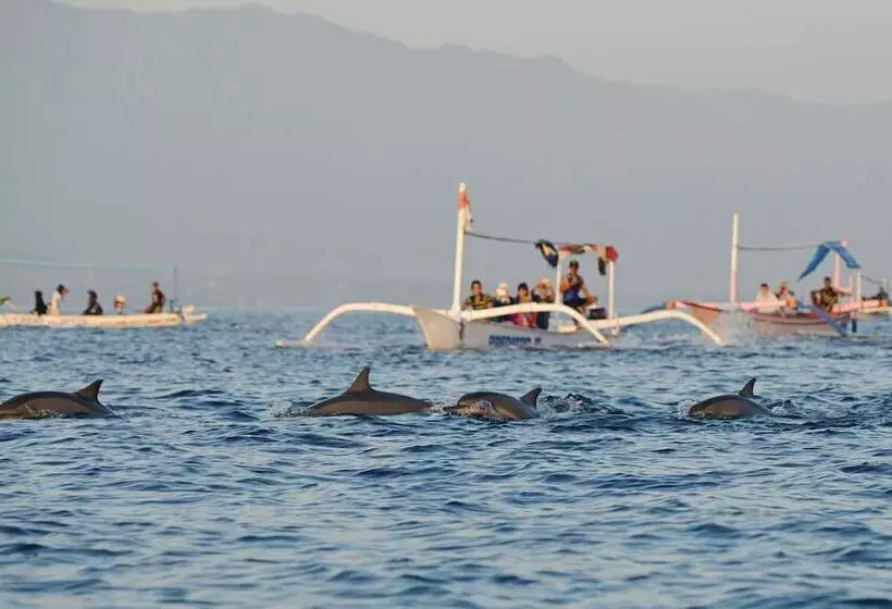 Singaraja Hotel   Chse Certified