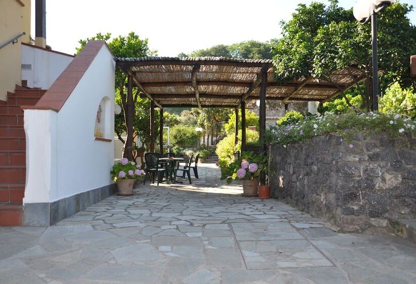 فندق La Marticana