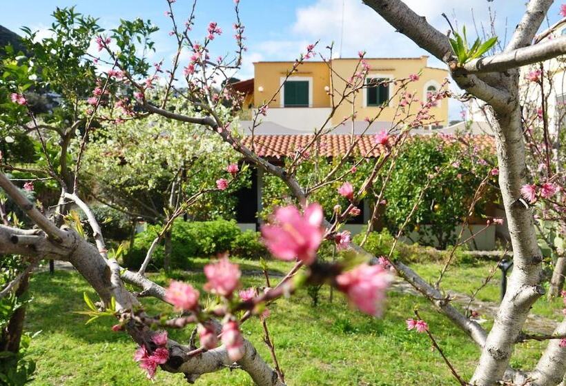 فندق La Marticana