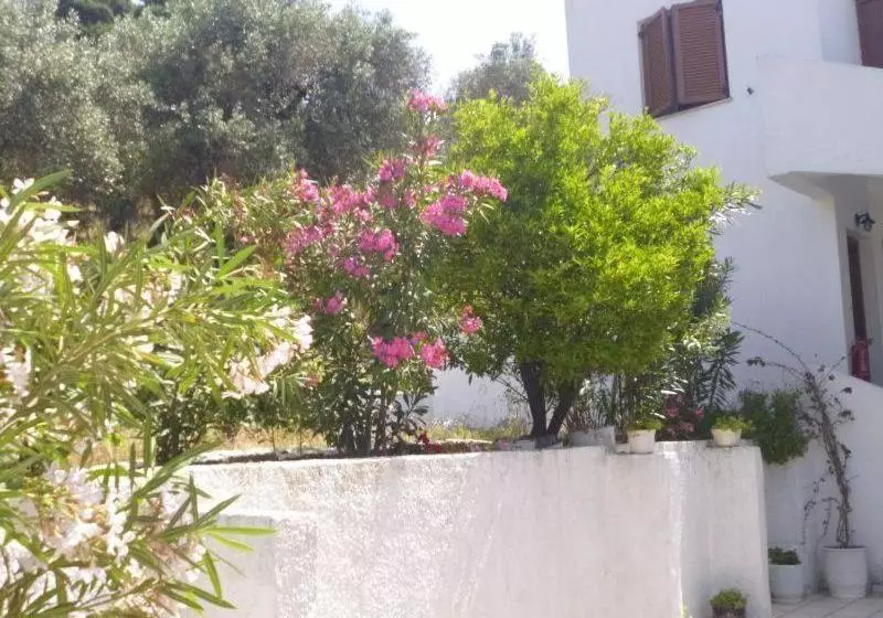 Irini Studios