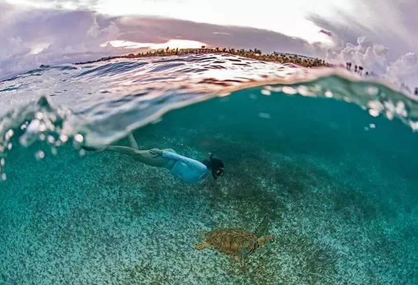 Lomakeskus Secrets Akumal Riviera Maya Adults Only