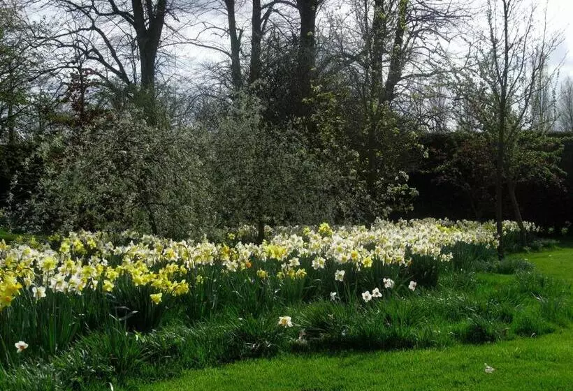 Bed and Breakfast South Lodge