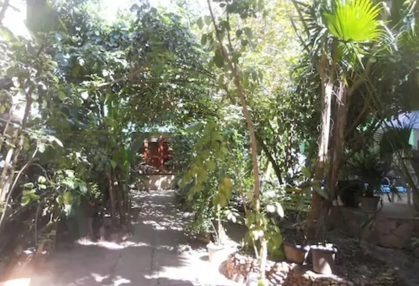 Хостел Pousada Coqueiro Do Caitá