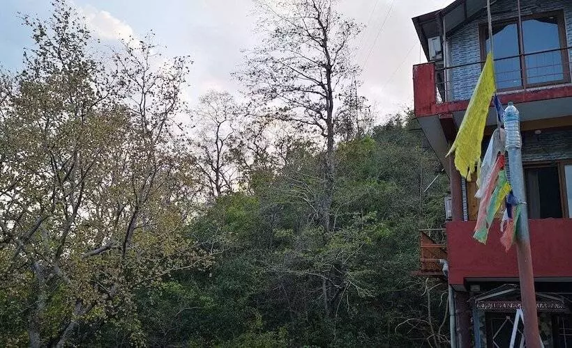 ホテル Hill Top Swiss Cottage