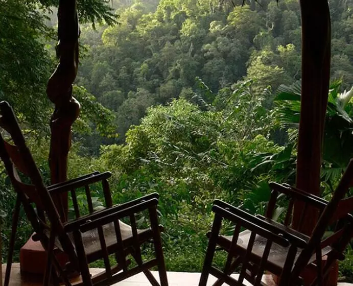 Отель Luna Lodge