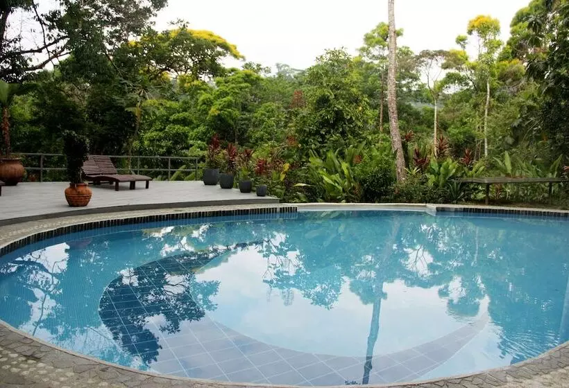 Отель Luna Lodge