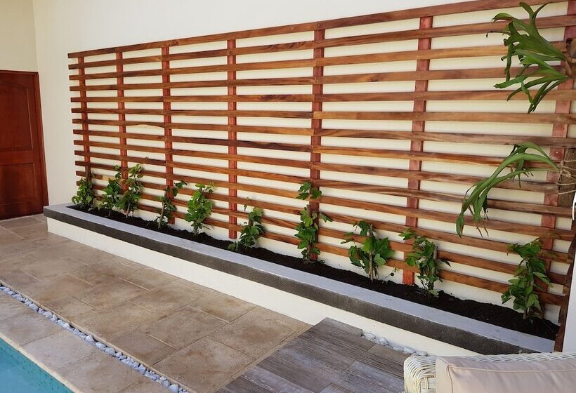 تختخواب و صبحانه La Perla Leon