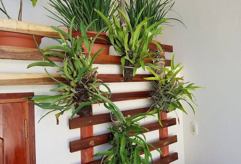 تختخواب و صبحانه La Perla Leon