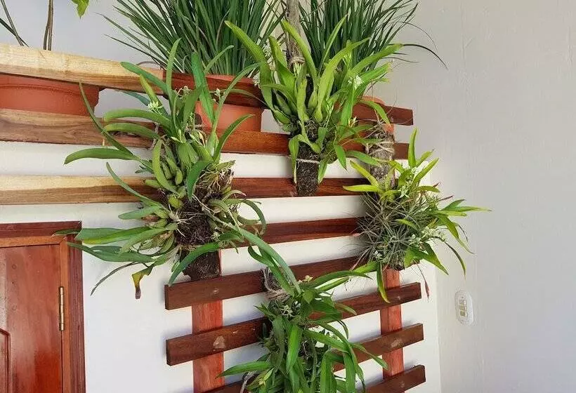 تختخواب و صبحانه La Perla Leon