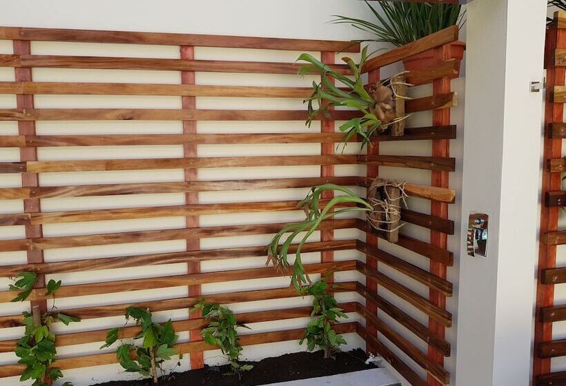 تختخواب و صبحانه La Perla Leon