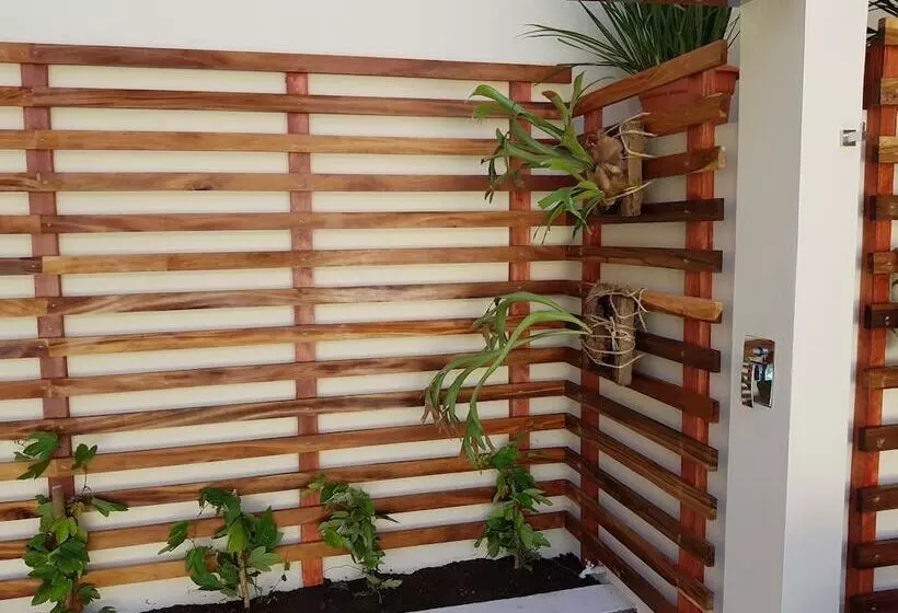 تختخواب و صبحانه La Perla Leon