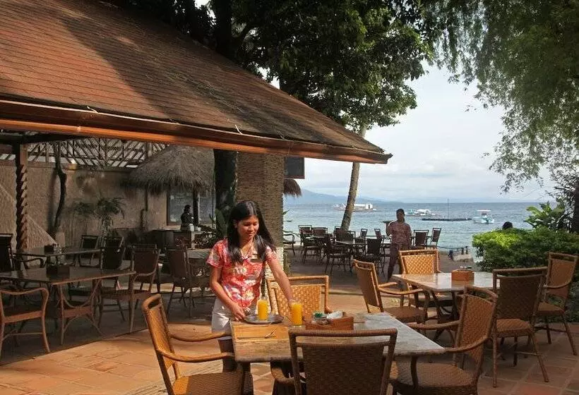 El Galleon Beach Resort